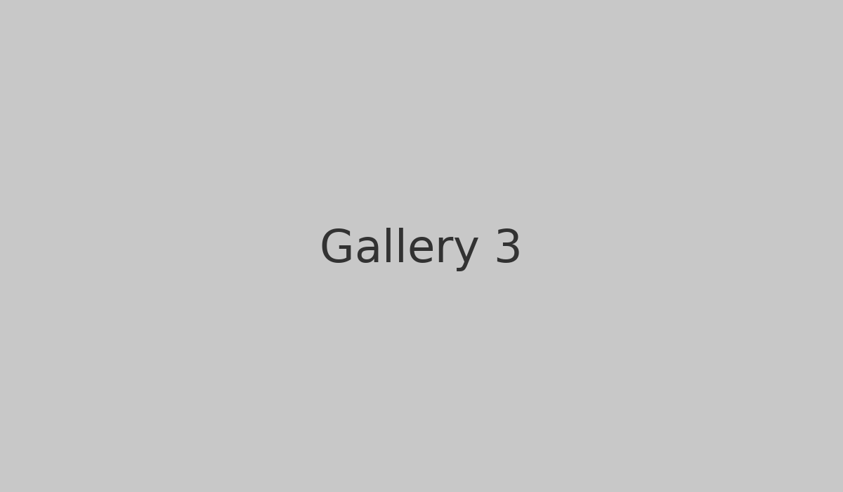 Gallery 3
