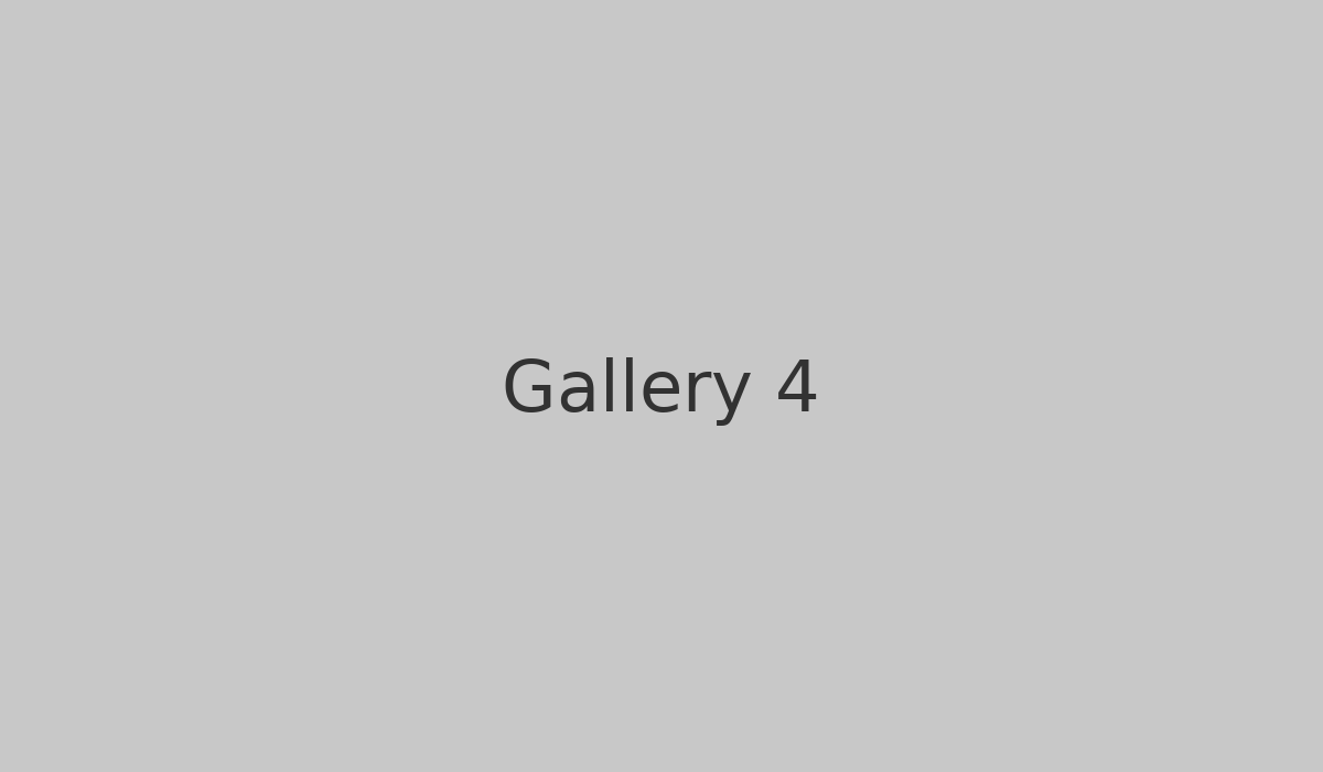 Gallery 4