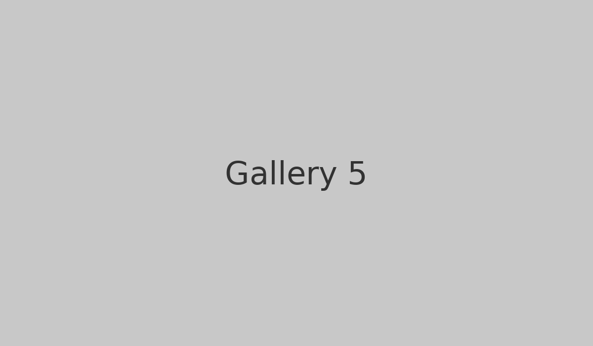 Gallery 5