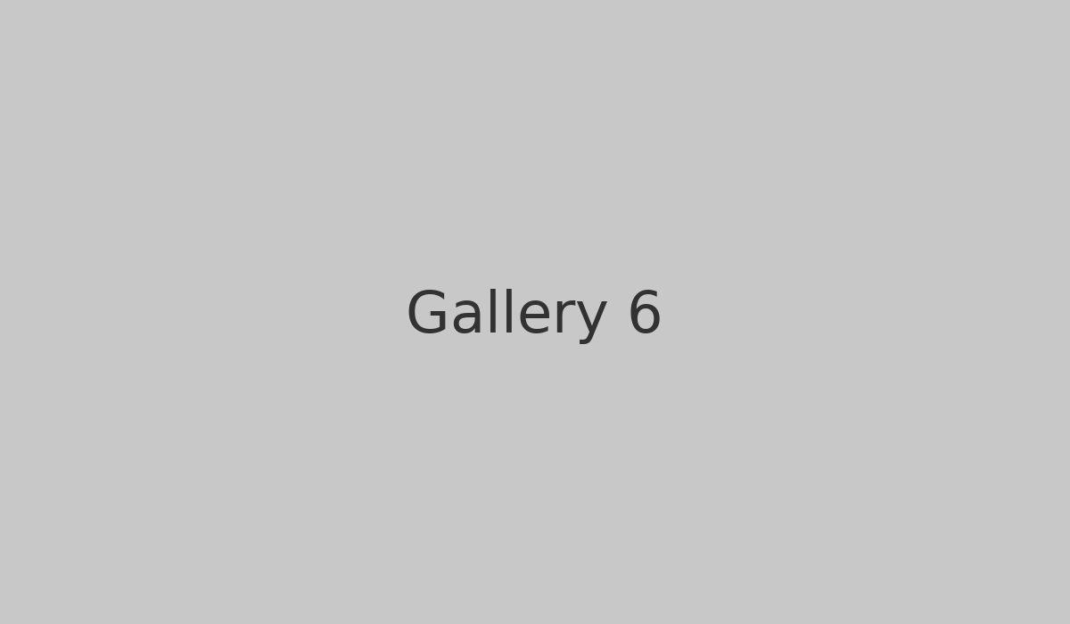Gallery 6