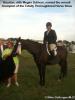 002 2012TTHS
