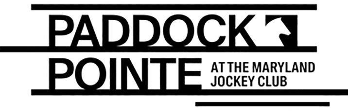 Paddock Point - Logo 2 black